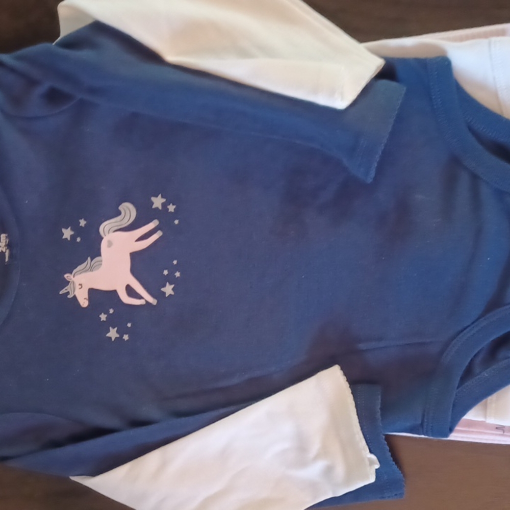 Carter's 24-month-old two onesies
